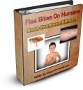 Flea Bite Pictures