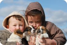 Children With Puppies