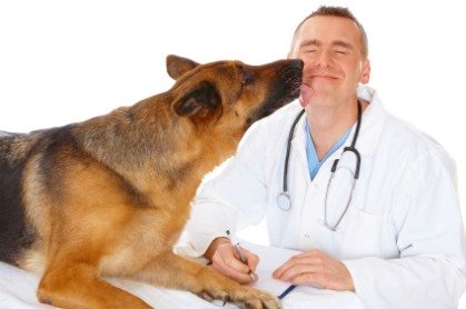 Dog Vet